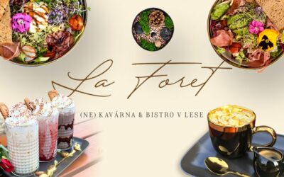 Hledáte dobrou restauraci poblíž Valtic? Zastavte se v Bistru La Foret!
